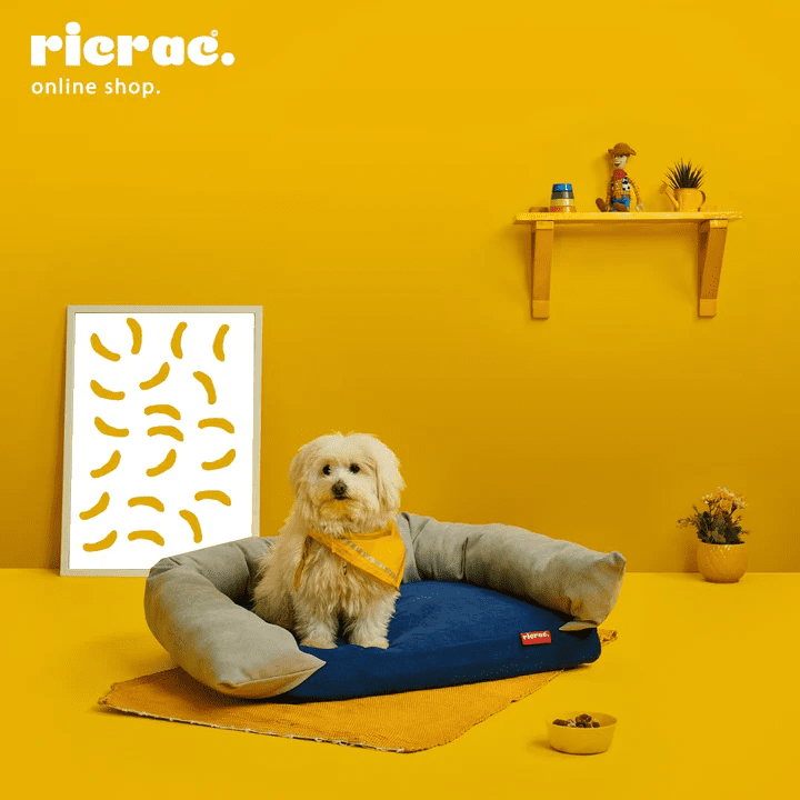 Puffy Dog Bed