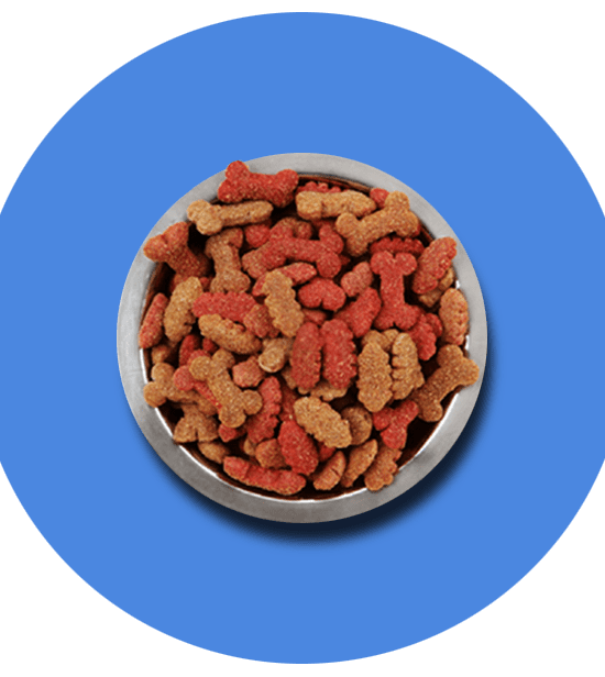 Dogs Dry Food