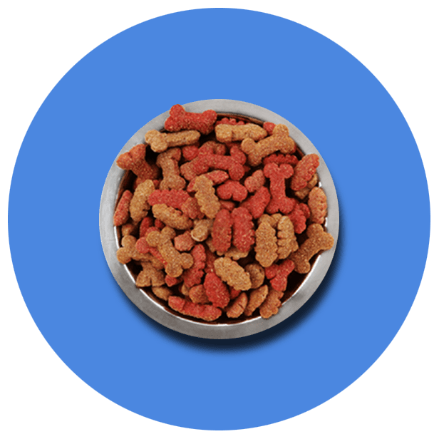 Dogs Dry Food