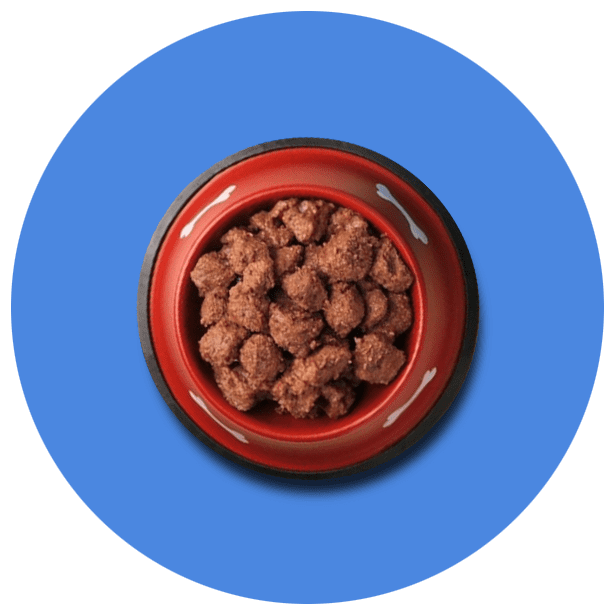 Dogs Wet Food